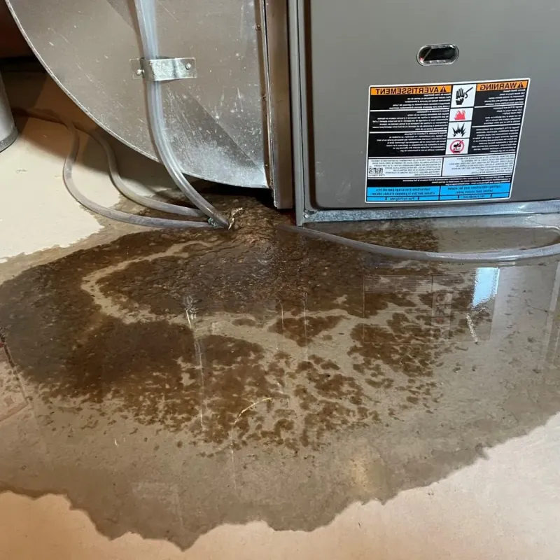 Pipe Burst and Leak Restoration in Parker City, IN