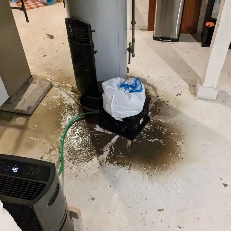 Sewage Backup Cleanup Service in Parker City, IN